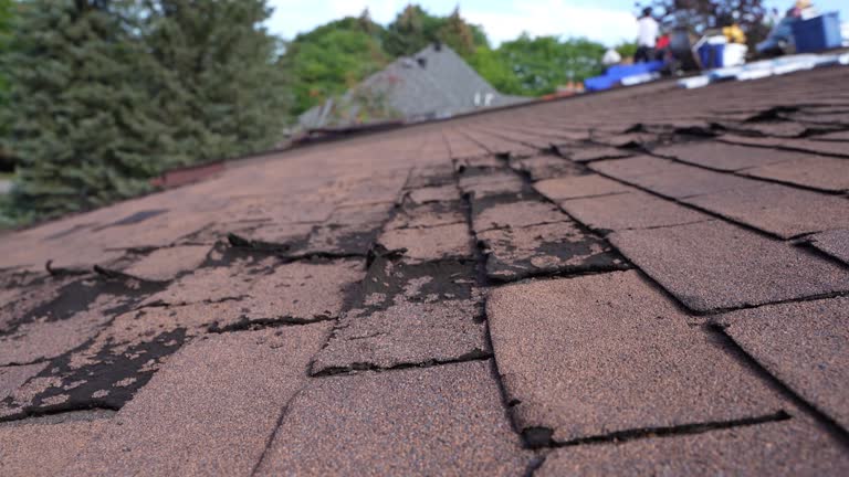 Best Storm Damage Roof Repair  in Oconto, WI